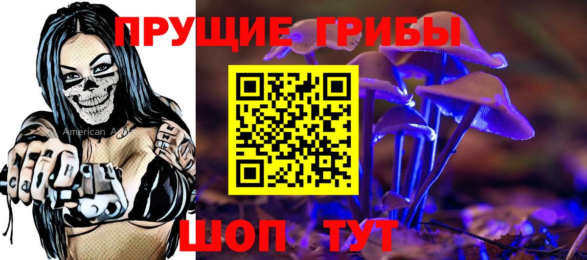 Шатура  Галлюциногенные грибы прущие грибы  Вход с VPN 