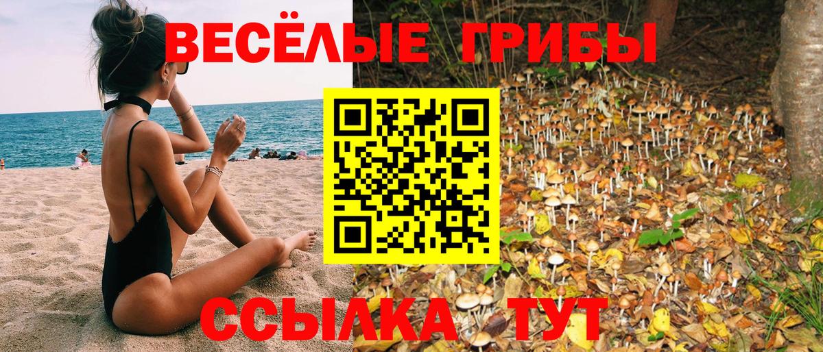 Псилоцибиновые грибы Psilocybine cubensis Шатура